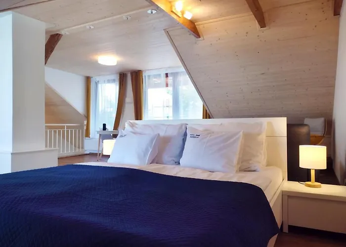 Kollarovi * 체스케부데요비체